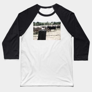 Herd of Cattle Baseball T-Shirt